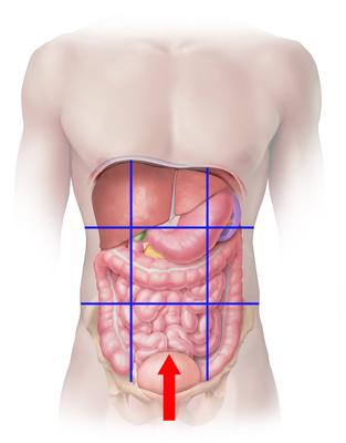 Read the Chapter 15 Mini Case on page 651-652 in Financial Management: Theory and Practice. Using complete sentences and academic vocabulary, please answer questions a and b.Using the mini case inform 4