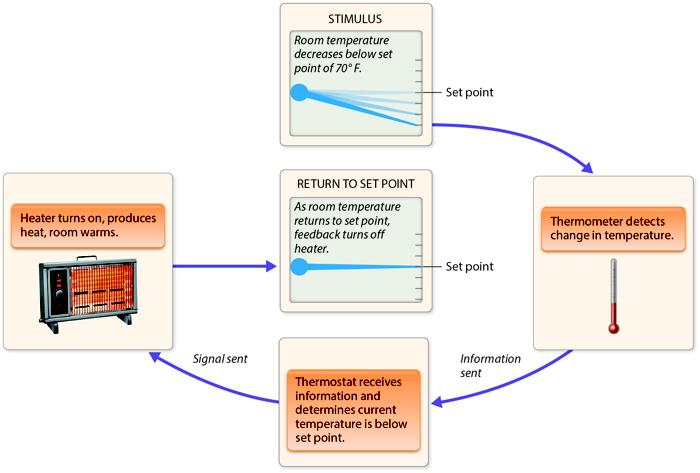 Read the Chapter 15 Mini Case on page 651-652 in Financial Management: Theory and Practice. Using complete sentences and academic vocabulary, please answer questions a and b.Using the mini case inform 7