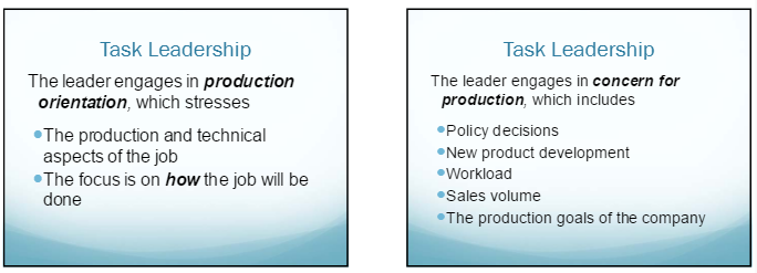 leadership project 2