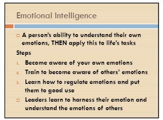 leadership project 13