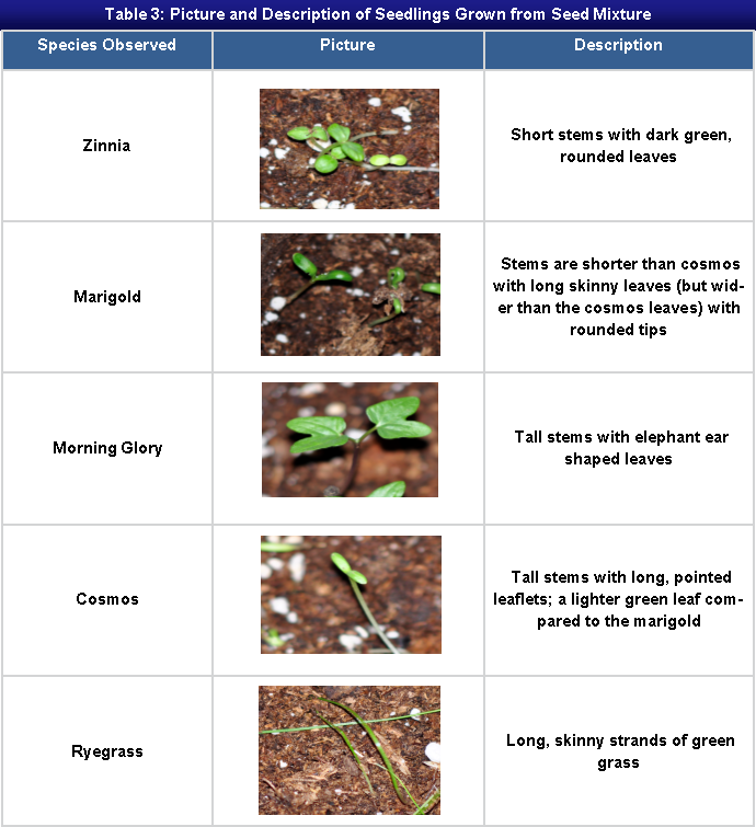 week 3 biology lab 2