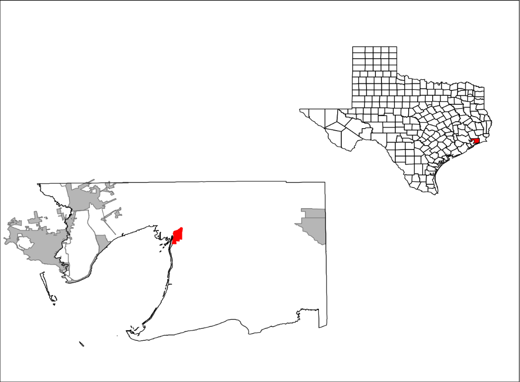 Paper on health in the community of Anahuac, Texas 1