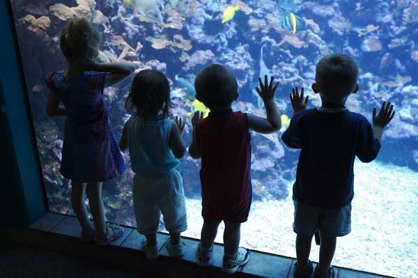 ECE 430 week 4 assignment (please DO NOT SEND ME A CHAT MESSAGE) (DO NOT CHANGE THE AMOUNT, PRICE IS SET) ONLY CONTACT ME BY MESSAGES-NO CHATS UNLESS I MESSAGE YOU BY CHAT AFTER I READ YOUR MESSAGE 5