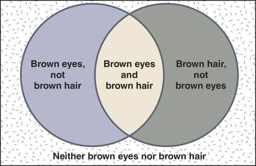 Construct a Deductively Valid Argument/Deductive Logic 2