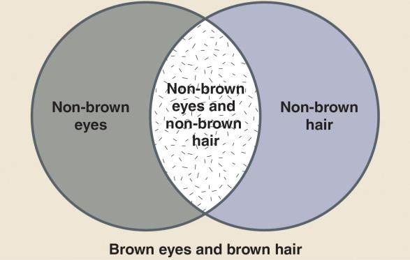 Construct a Deductively Valid Argument/Deductive Logic 7